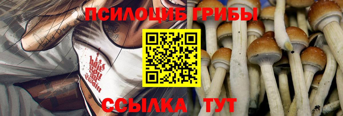 Серов  Псилоцибиновые грибы мицелий  Вход с VPN  Псилоцибиновые грибы ЛСД 